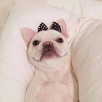 E1664f97825489fde5cb69fd341e1445aa361bdb