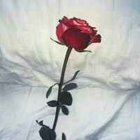 28b87bd6c29a654cc37d4f31a3ad5c54965e53b6