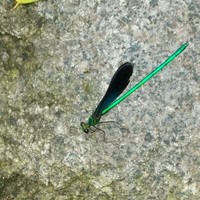 E7f37860bbf7589363bf1e60bb5beed13e37ab82