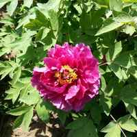 Ef47ba92a9bc2c597dde811b85635efcbb000c31