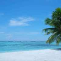 D1e8e91f78cda6dcec919aa5ed4d780d3a06e20a