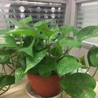 Ccc6dc6df722679b8dcd17c2fc269d9c4951dbdf