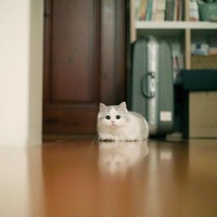 2bddc025656f43d4f47874419cf143dff170d594