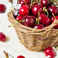 30de2f7049bd05a5e681b5f2fdb0ea741ccfaf04