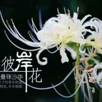 48928bb971e834606169b2c36a1d6363541b1b53