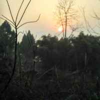 430a1660f113e1fcf488a6e0bcb185bc7df50e19