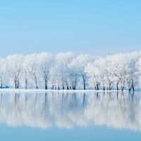 2b368d710bebb594724459d9f3c02bb6495dc627