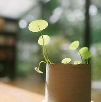 F94f62ffa3a8ede2432ed3083ca84067b0f7c6ca