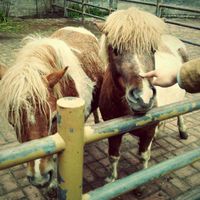 69cb7c54629eb89d3ed790b01cf3668101f2c351