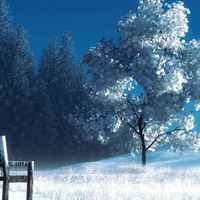 80cc13f78cd236b766aca123bfb459db18f4e7bc