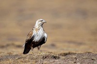 5cb9fb3c3307266b7af621b1e4c4bbe395e01b52