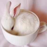 8130786622fd97dee83bf93d666ee6c159d8c7dd