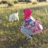 Da9f2b87e3c474fe71868d803f016799cd1b9d01