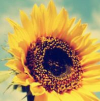 D39cf90da58fc7ff952367d20d1be581bf7539f2