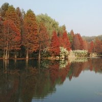 D85998e65aa914349ac18a3a4722a4349b4c2e72