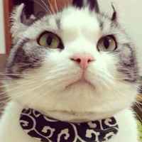 611a371e3a578f9df863138f35f2c9833601e183