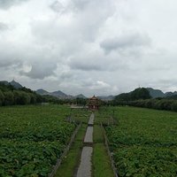 6ee4228d1291dc7a8116e15bb6356c9290e92c1e