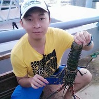 498306be68534204855b4a7728ebc039b9070ad5