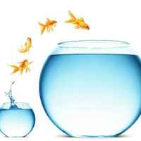 Dfa794d0d1cb14818cafee2e7824d159b39e22a3