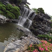 B1313377077960c6d09803d508018d46734eecc9