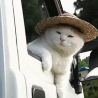 A404becea8523be94fa3dacf4ef4ff75784cb003