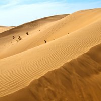 6edc8fdd4ba7974eb9c605c87d9a2ce918634190