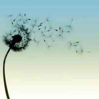 7337cb2105769f0ecf88ad9185375f3fade478d4