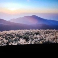 5ff3cb98902b1be495a10a5cc682170fa72f45f1