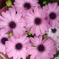 Ed40eb3ae151c093568f34a515c90f32dcba2842