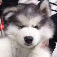 Facd1a901009ba6bbe5d85cd852dd8c5c0e642cd