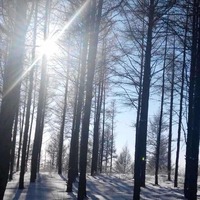 Cf1e5ade107323bdbf8321191a2559608f381c97