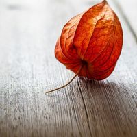 0081d8f8f4726aa509ff9013d0ea8f2cb06fa3c7