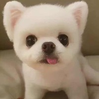 F56e603be26c14a6cb8d91ab36c893917f45fc6c