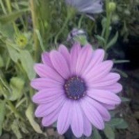 4d6623ca416eb5564151db7d302ba8080296ac7d