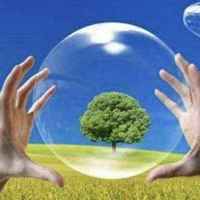 De7cf0fe9cb8710169583ce2a6a5740c190b8734