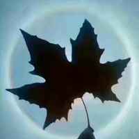 6a9eea42784c18a33abe8a05245c8388937dd066