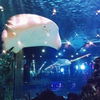 679e8ddbb1f3286986c6df280c540a5fb6ebb21a