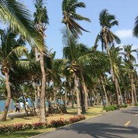 54a4e12bf992ce6c33355fef53139ec66d1b373d