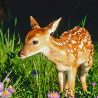 E9ce39ddde731e509dede2a675be5925935fd563