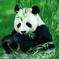 3016b97e3646386bef50ea784f1e0ef5d6333ef0