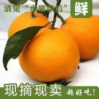 3b49d243cf2e7125ce25e5df4fd4c22dd3558741