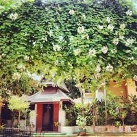 824f984a223439f0671f45112ccb27c33922e926