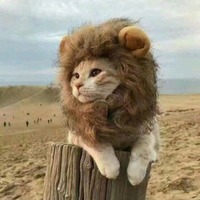 225e86bf86d5d7fcd7ed771efeda067589f73b47