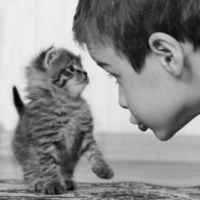 51dfa63307773f4a96dc8edf7d78a4b3db4591aa