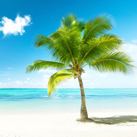 4e826c162e138357be079726e6deef2831da9733