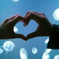 59611e979f6a714a8e3e5d7e5c450e21c4e53101