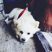 Ccebde369350139ba66fa9e62f1017f31d38c011