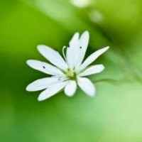 Ce7dda4432bd0d92f136e7c8c52c153da3925904