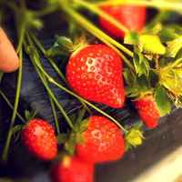 4024fcb9a481f0f2065ea698a598595bb6c89fd0