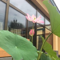 6d31258306d679b2c617229cd3bd521401400b03